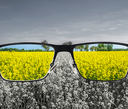 Looking through a pair glasses 