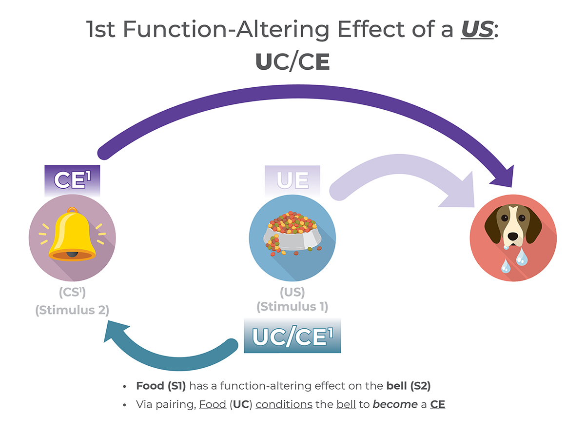Respondent conditioning graphic, ringing bell, bowl of dog food, drooling dog