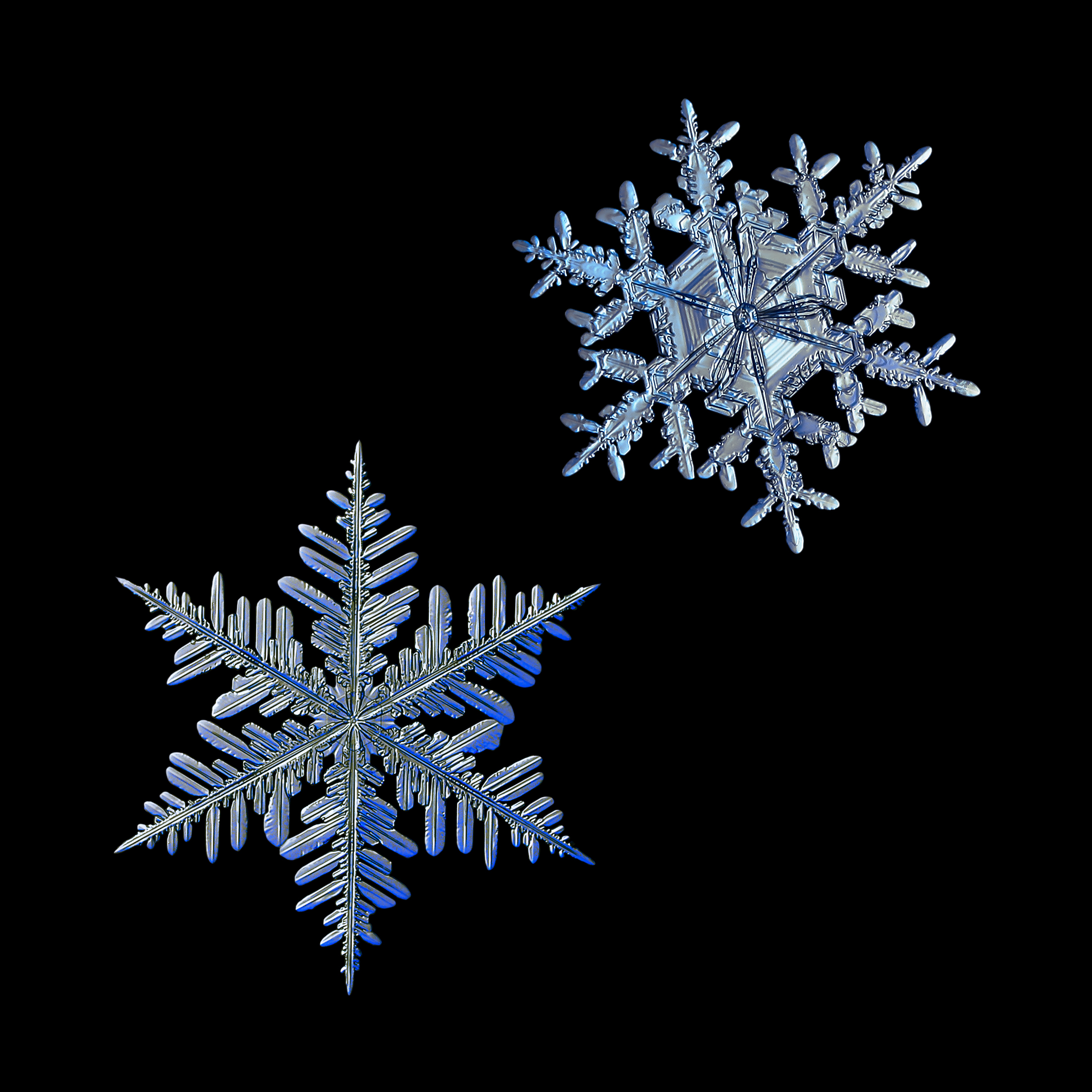 close up image of snowflakes