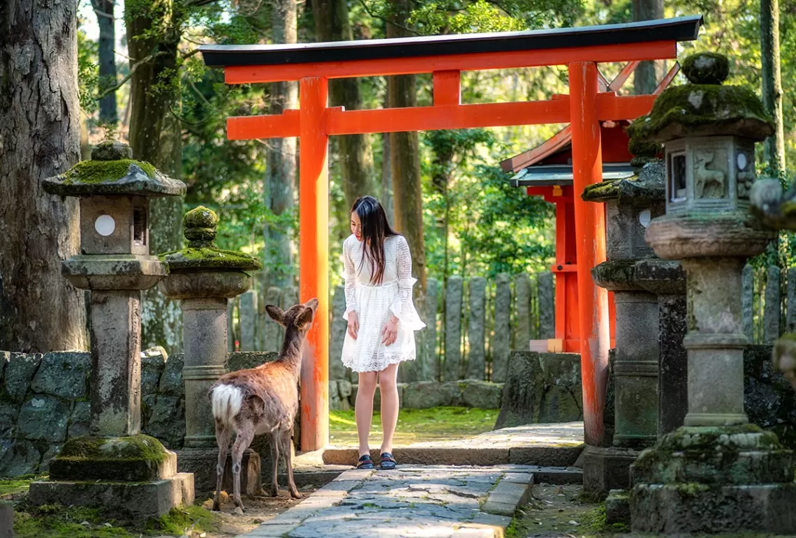 Girl with deer at temple