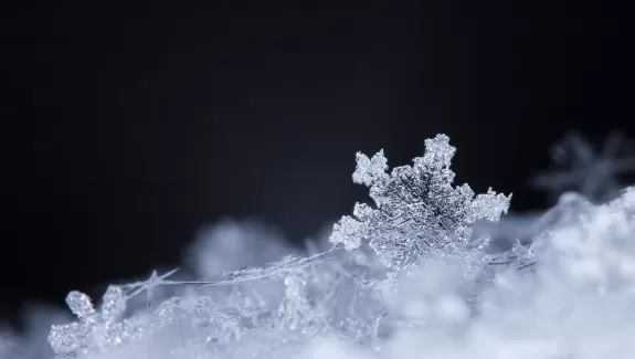 close up image of snowflakes