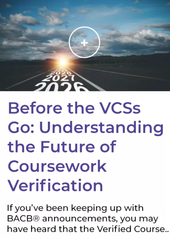 Before the VCSs Go Blog
