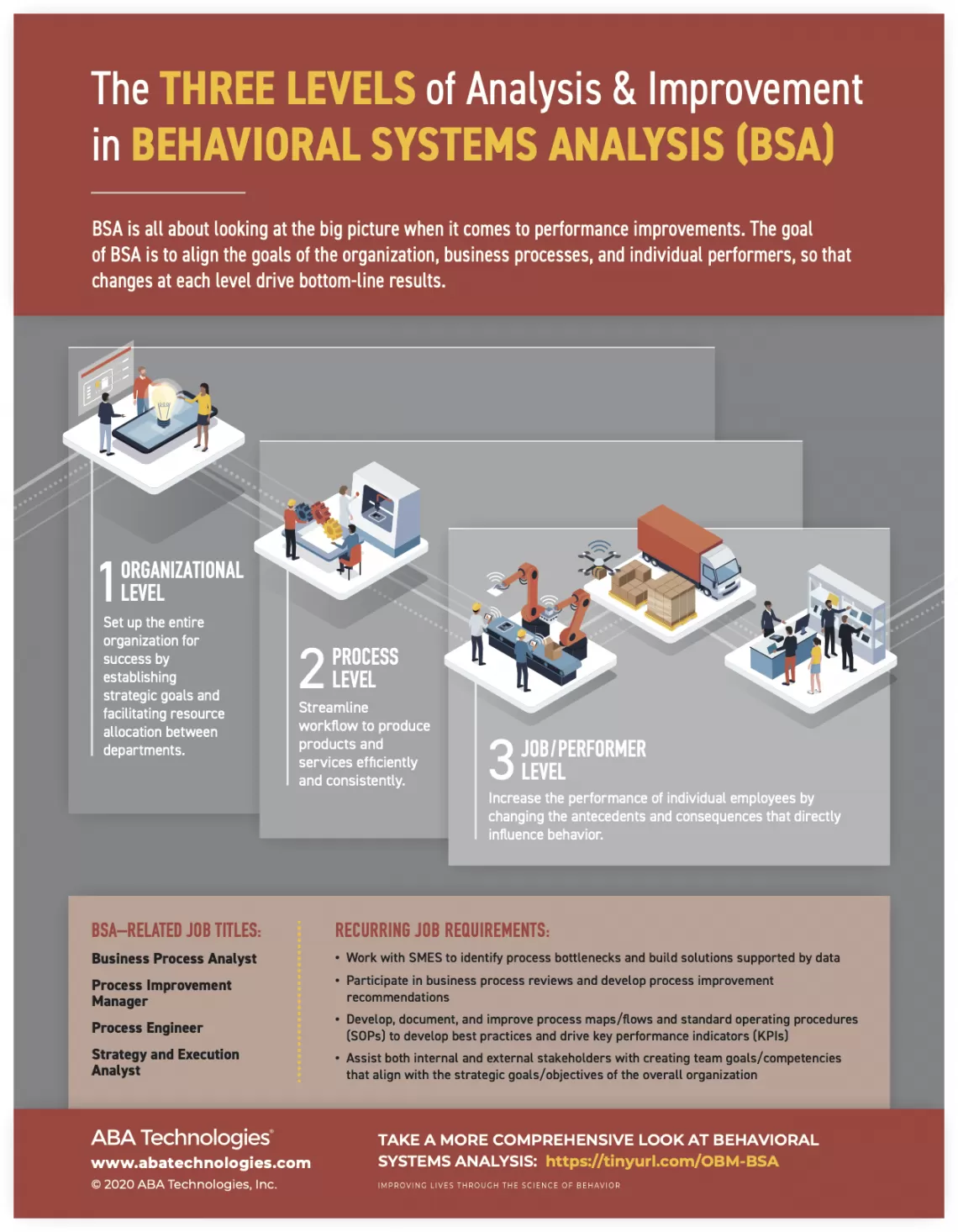 Behavior Systems Analysis Infographic