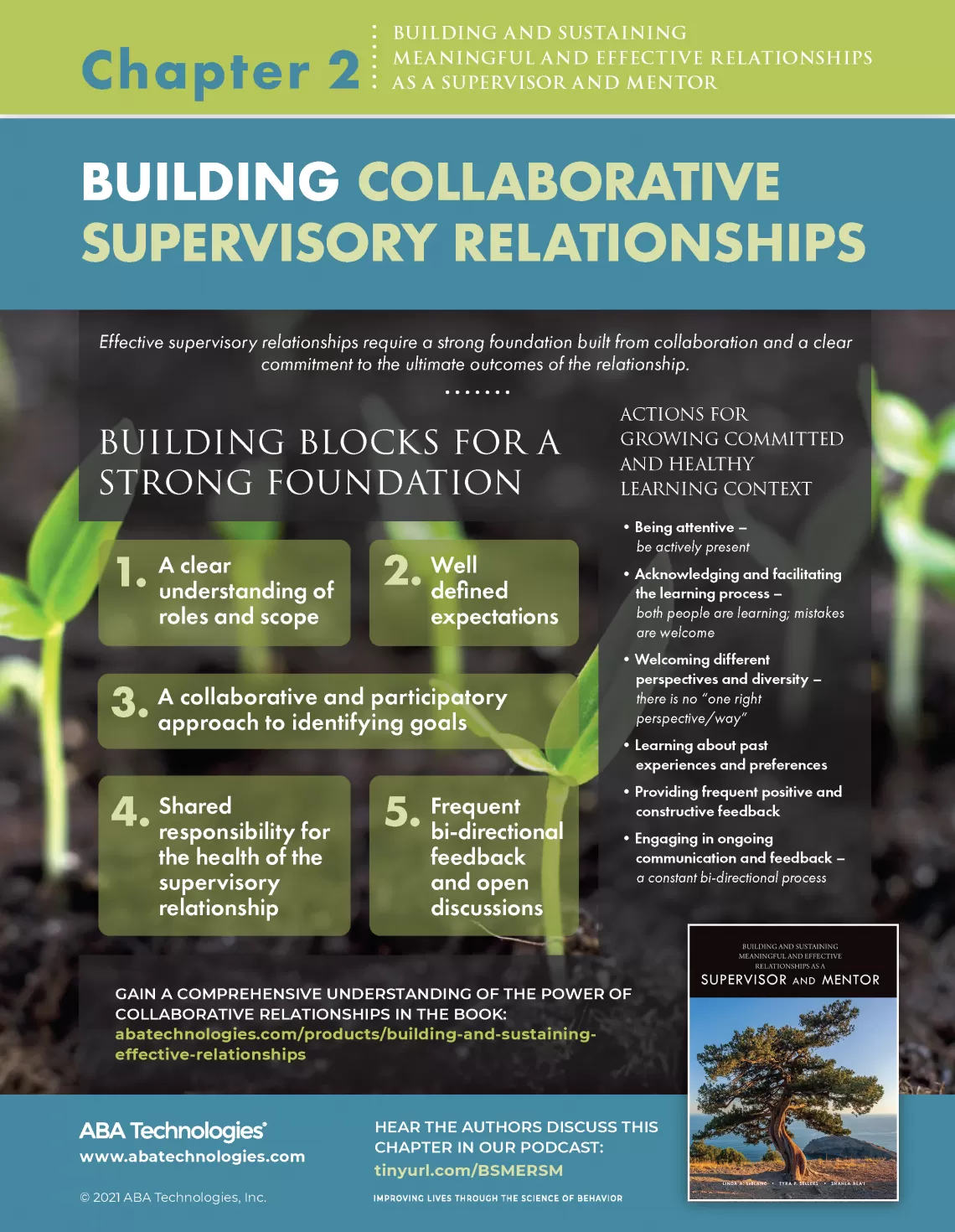 Building and Sustaining Relationships Supervisor Mentor_ch2 infographic