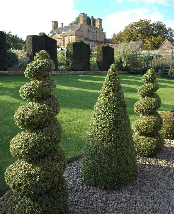 Shrubs in front of a large yard