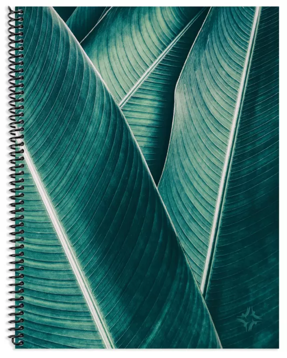 Planner Banana Leaf Cover Image