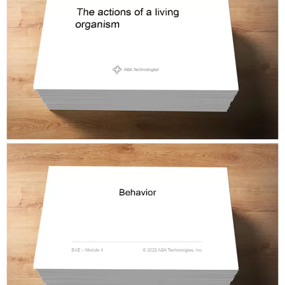 BAE RBT Flashcards set image