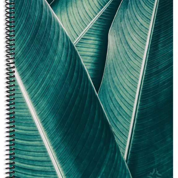 Planner Banana Leaf Cover Image