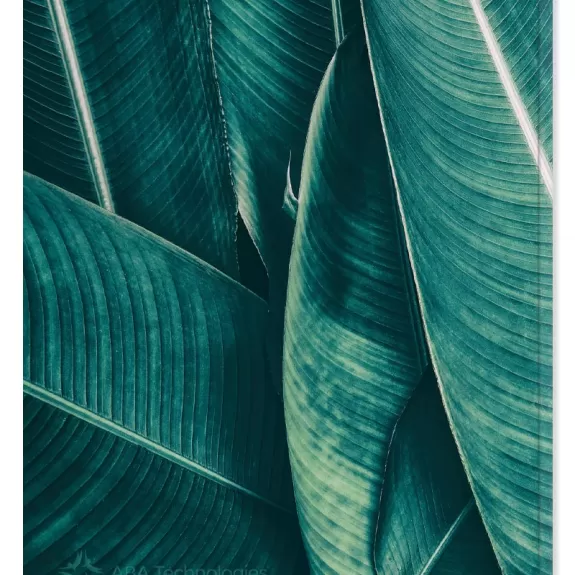 Planner Paperback Banana Leaf Back Image
