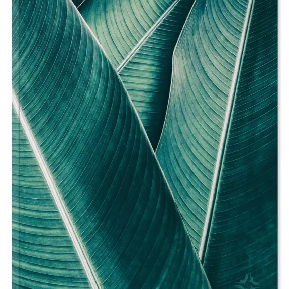 Planner Paperback Banana Leaf Front Image