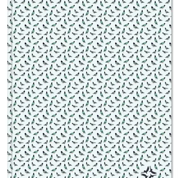 Planner Paperback Pigeons Front Image