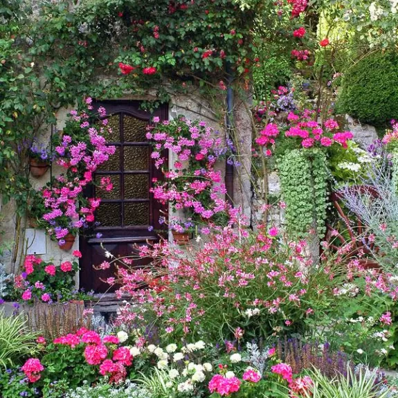 Flowers growing around a door